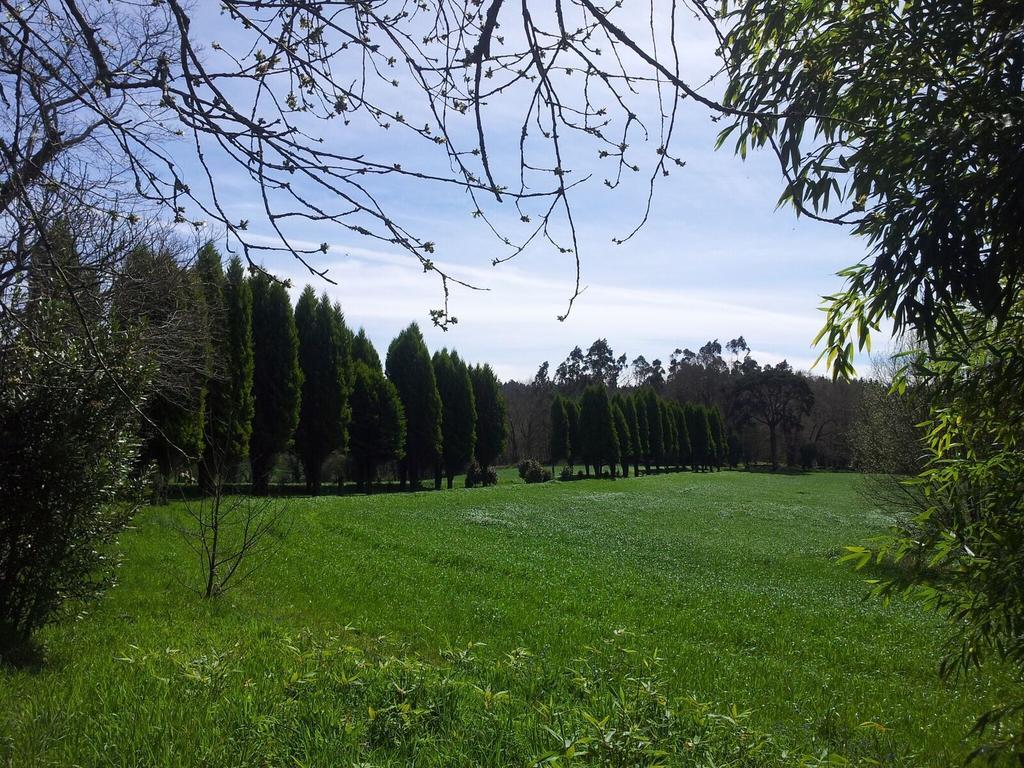 Pazo De Andeadeゲストハウス エクステリア 写真