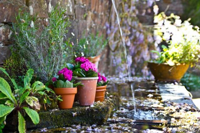 Pazo De Andeadeゲストハウス エクステリア 写真